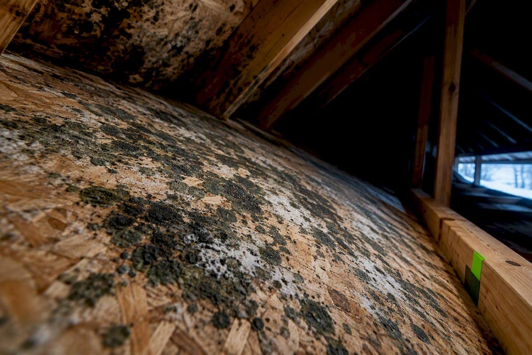 Homeowners: 6 Attic Mold Causes and How to Diagnose Them